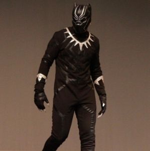Black Panther Cosplay Adult Costume  Size Large